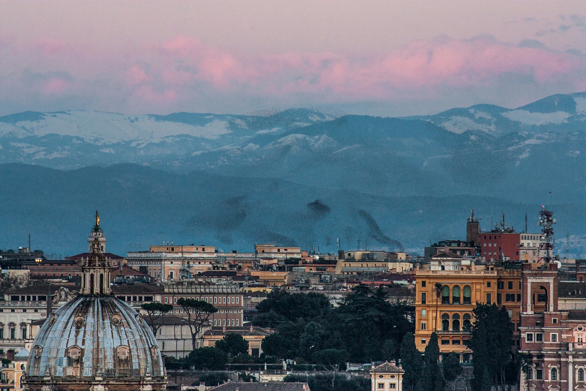 Migratory birds over Rome