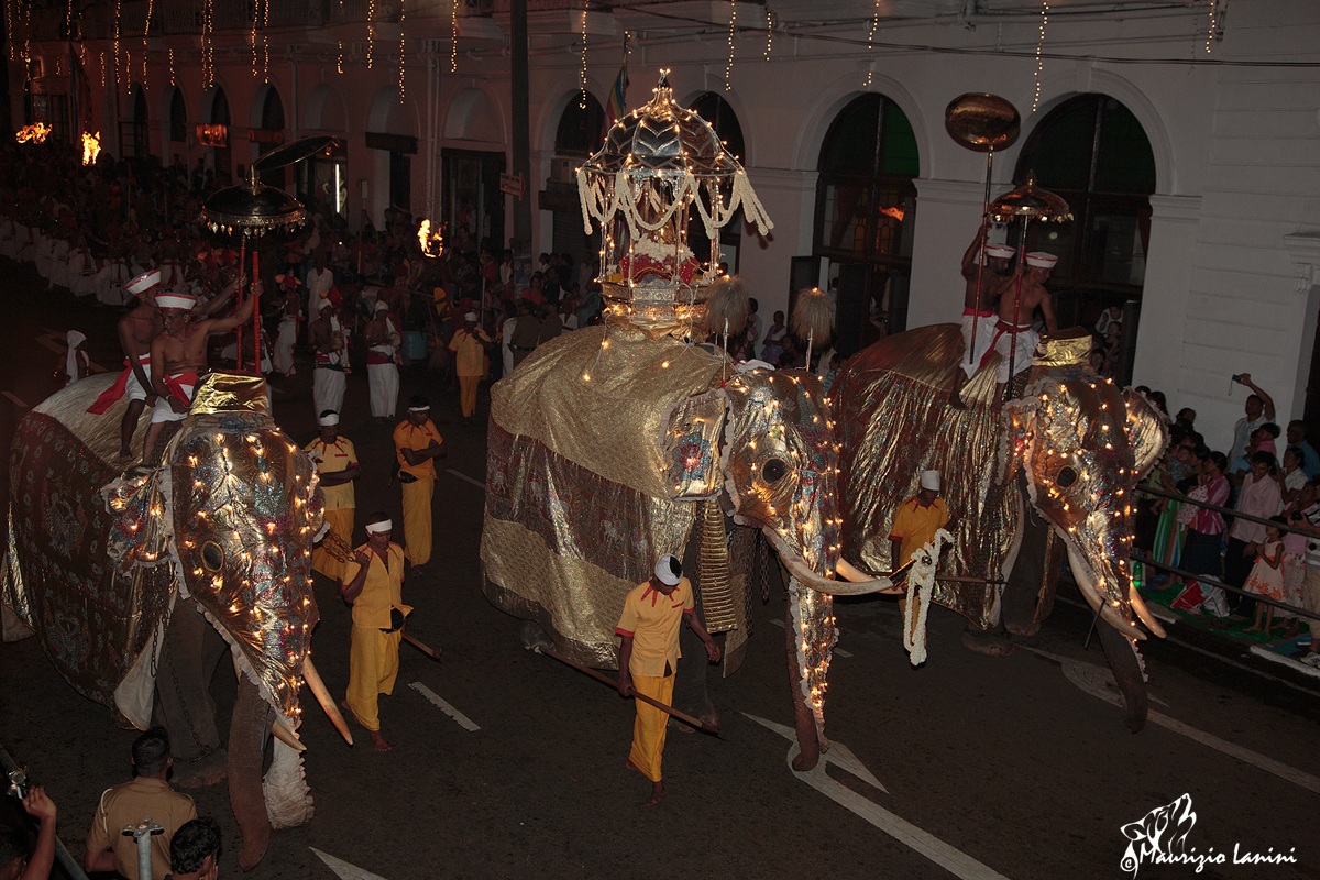 Esala Perahera : la processione d'agosto