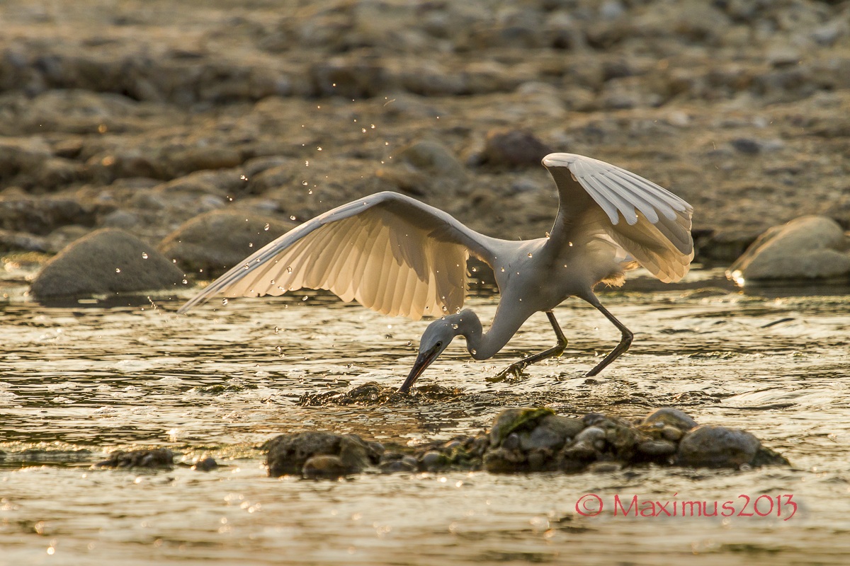 ... l'ultimo attacco ...
