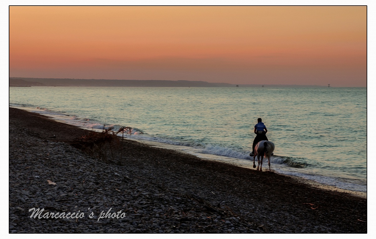 Gallop on the beach