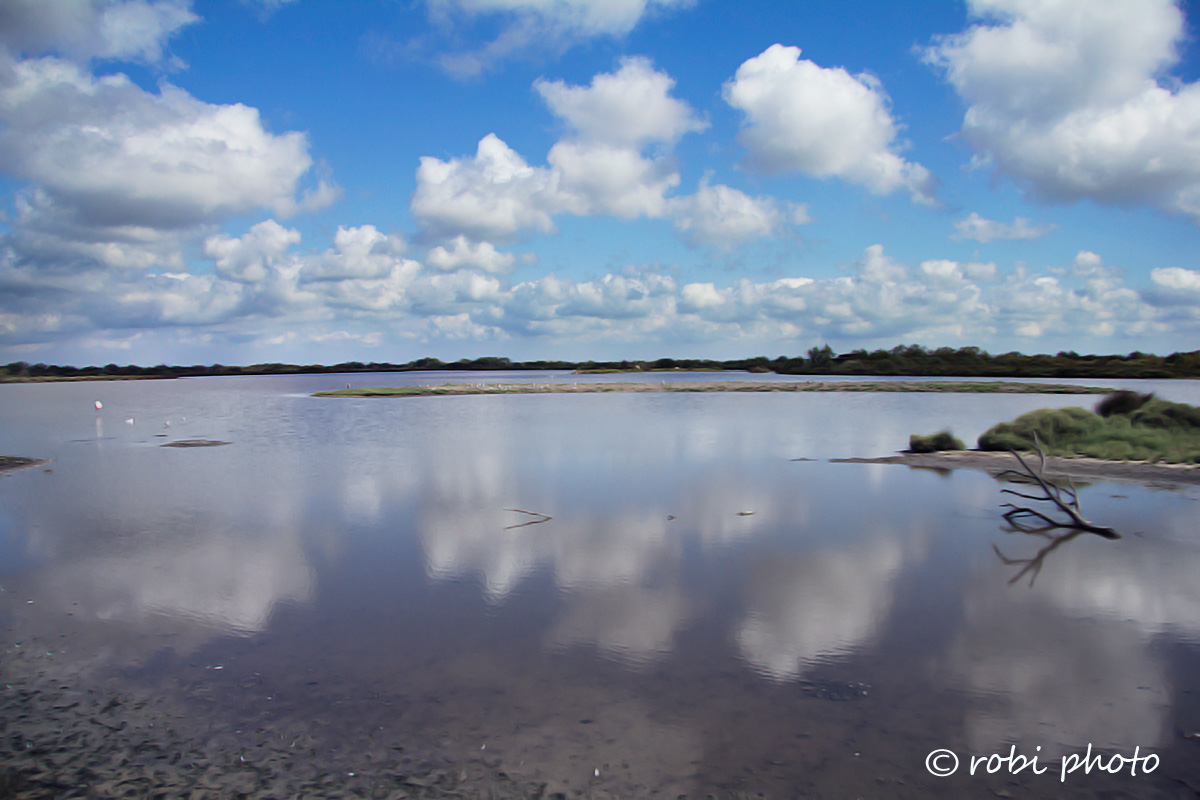 camargue..