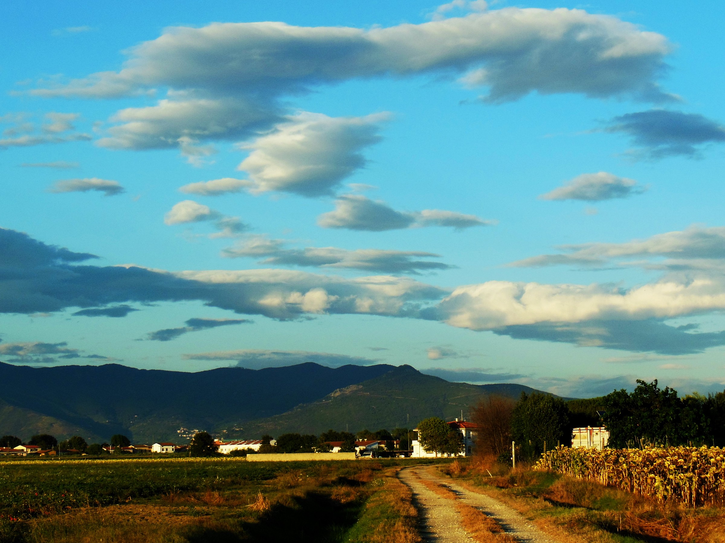 io una fine non ce la vedo.