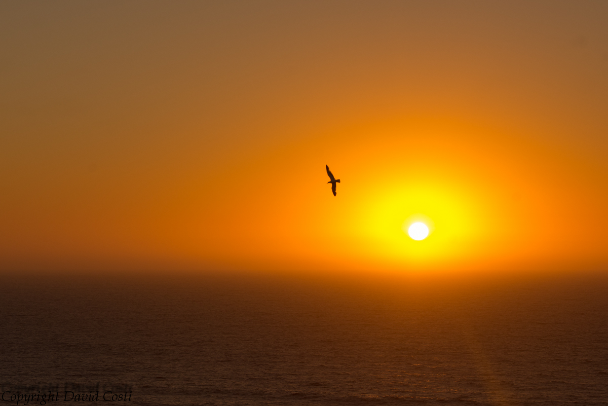 Livingstone at sunset