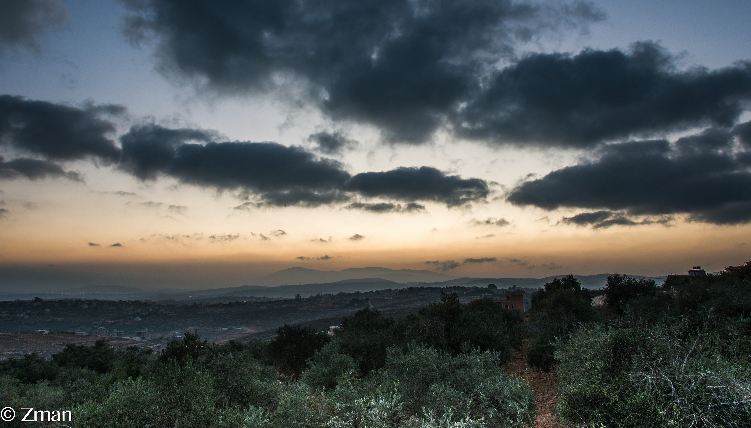 Early Morning Sun Rise Over Olive Trees