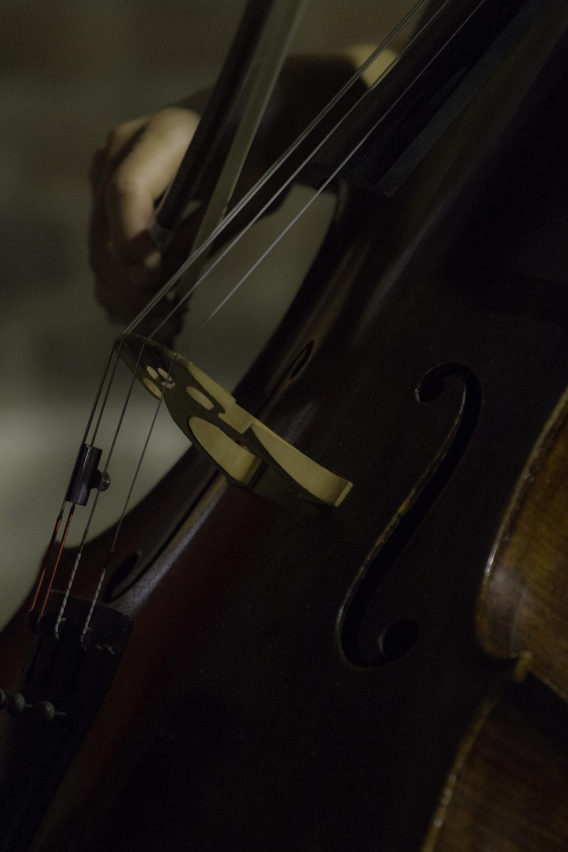 Ferrara Buskers Fesival 2013