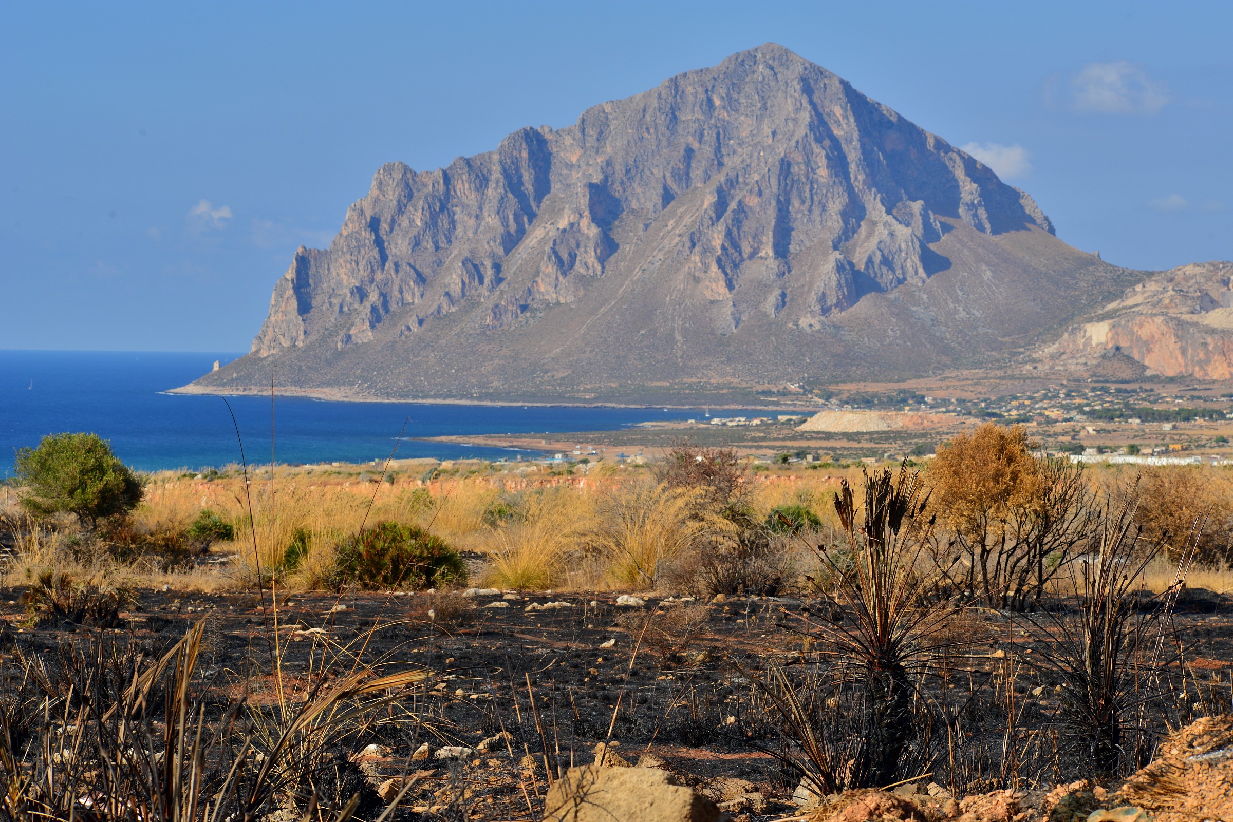 # 060 my scorched earth ...