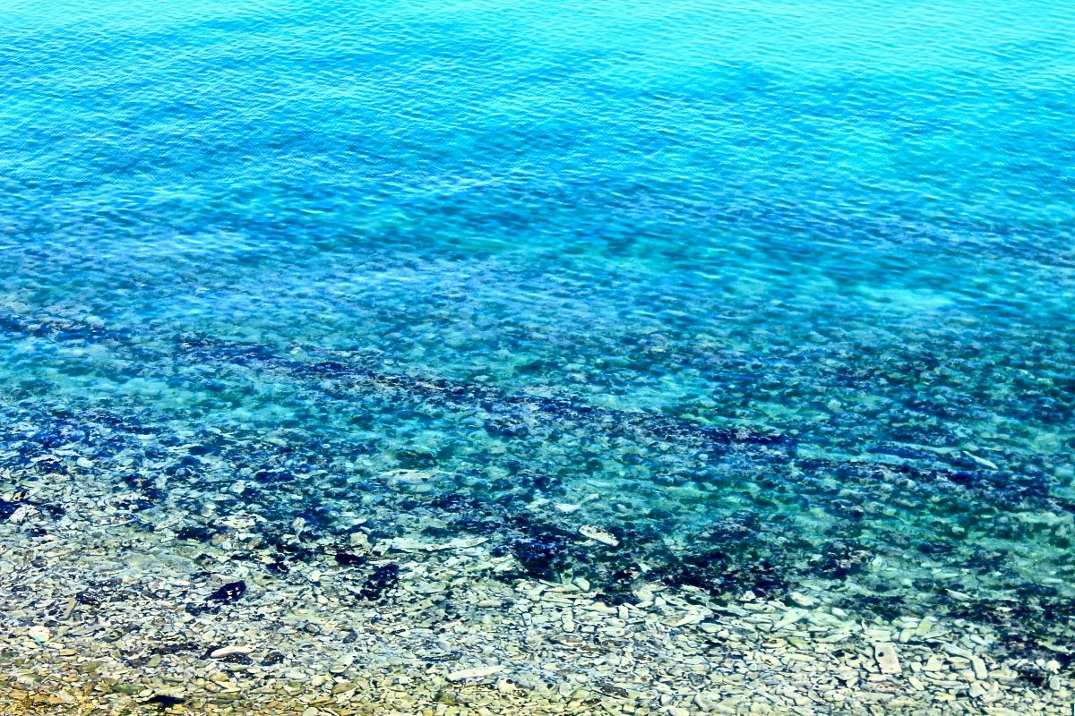 Le Rive, Fiorenzuola