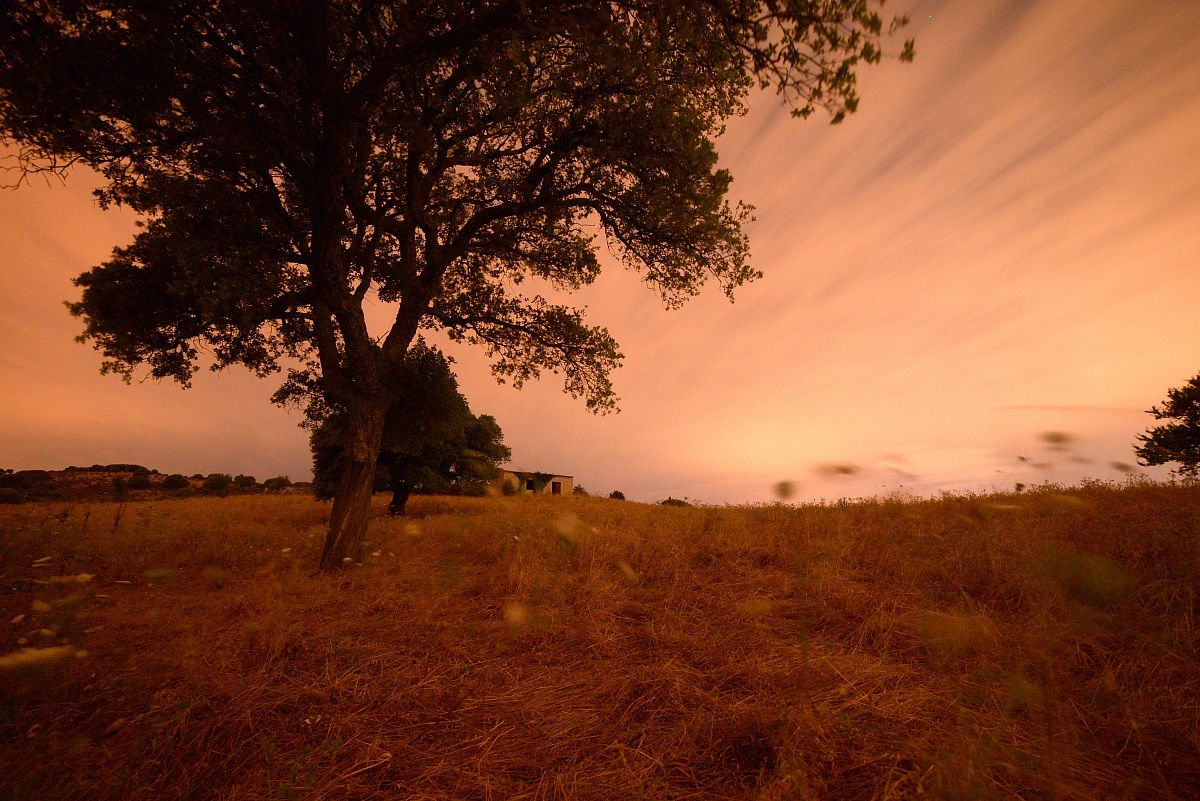 In the countryside of Tempio