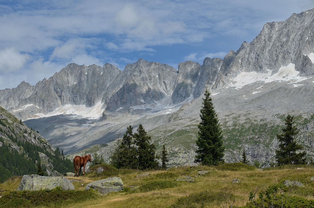 Gruppo dell'Adamello dalla Val di Fumo
