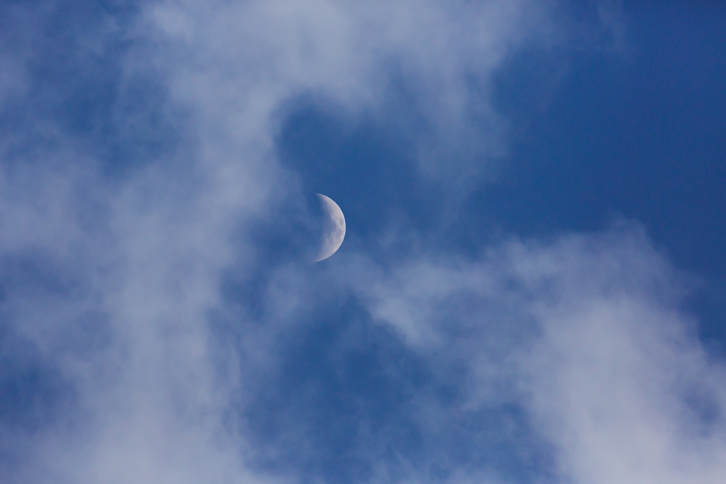 La Musa tra i pensieri...