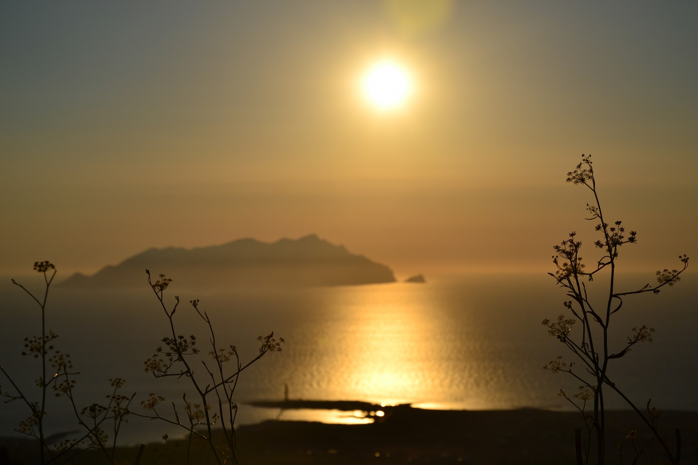 Sunset with wild fennel
