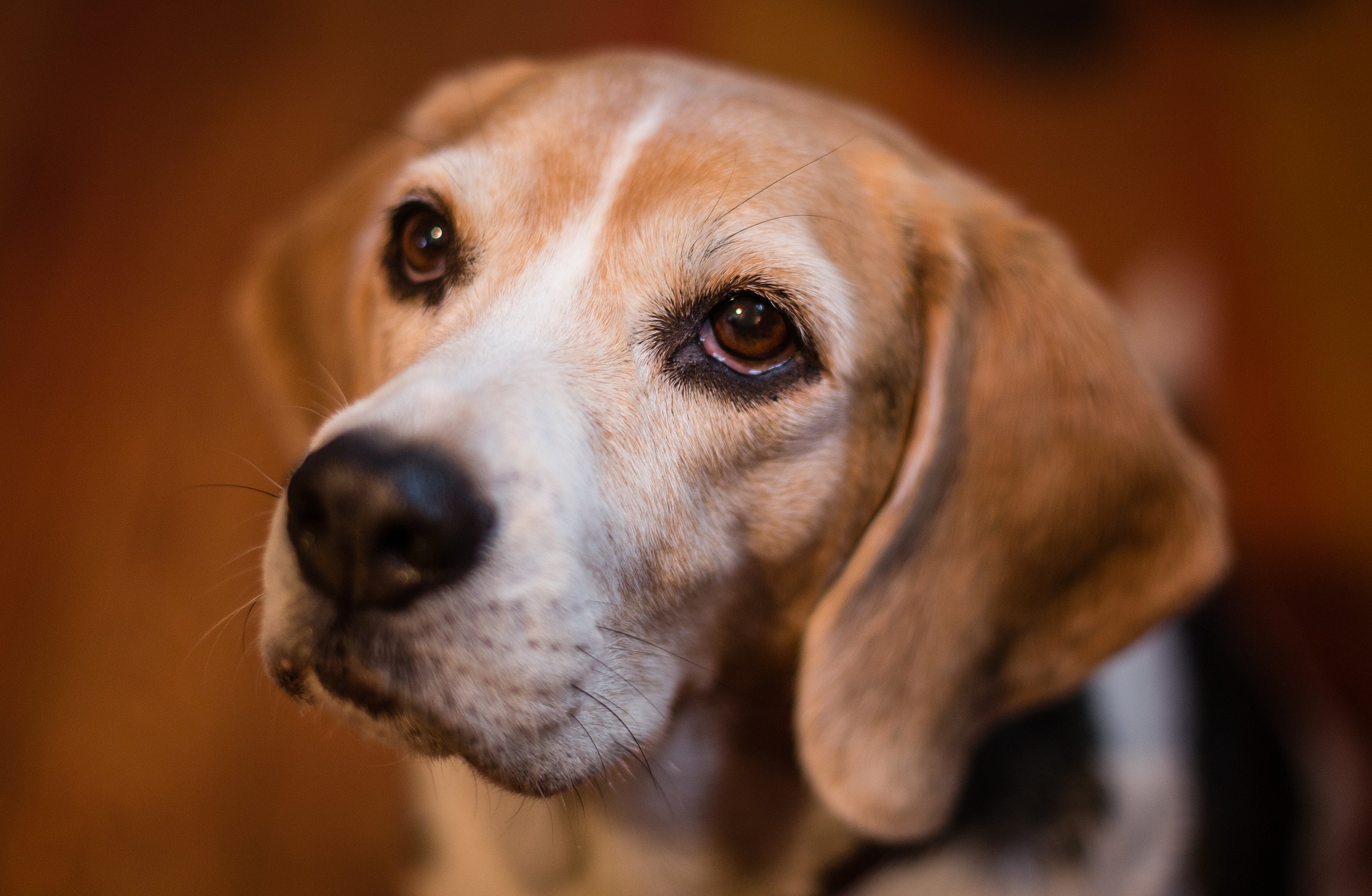 Friends for 11 years!