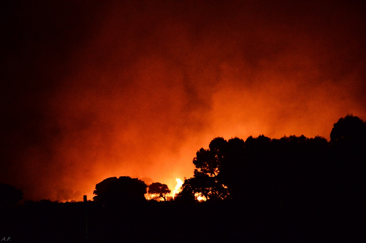 il fuoco che ha distrutto mezza Sardegna. 7 Agosto.