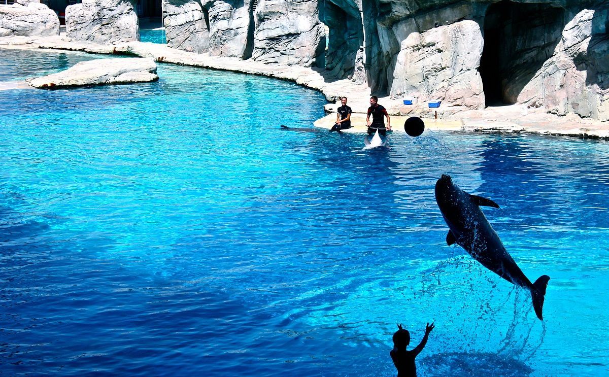 Ulysses with the ball