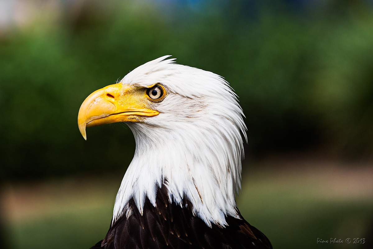 Valencia - City of Science