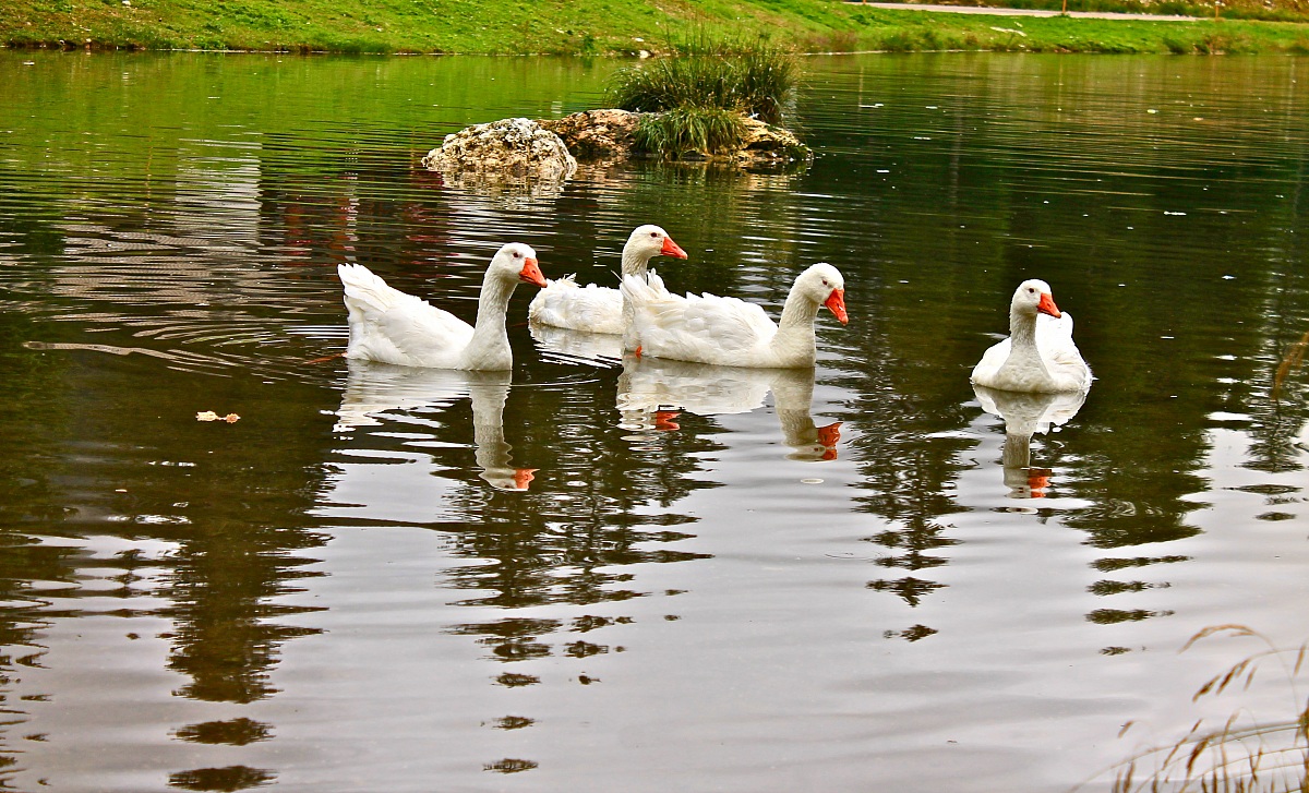 Small family reunion