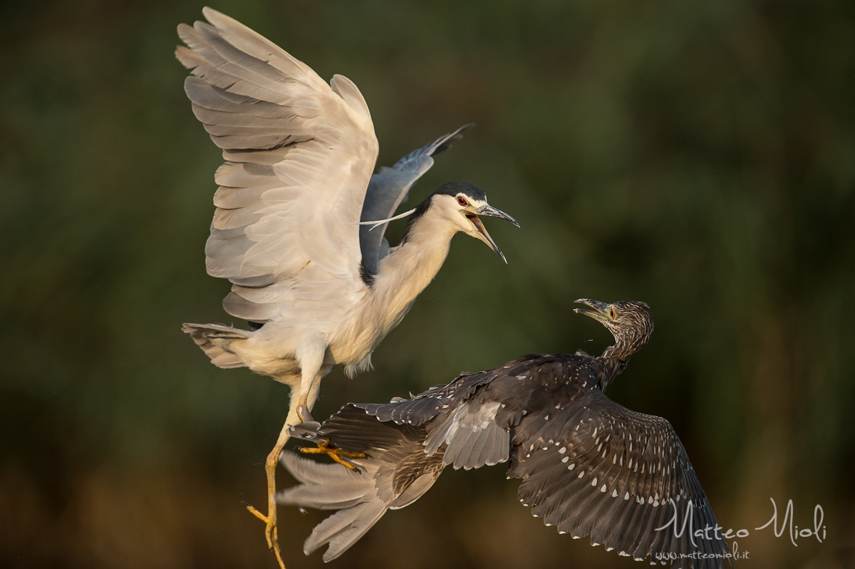 Youth Education / Youth education