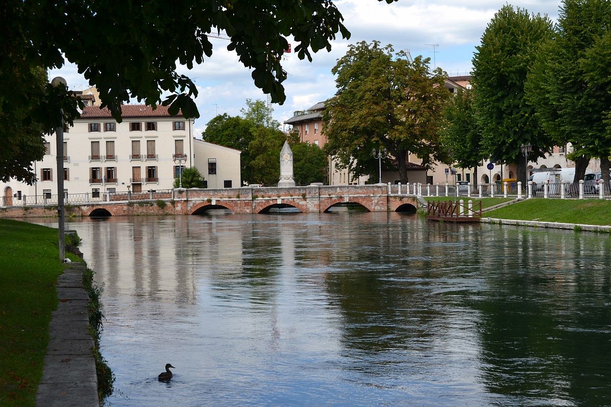 Treviso
