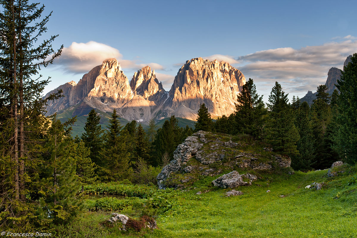 Among the trees emerges Sassolungo