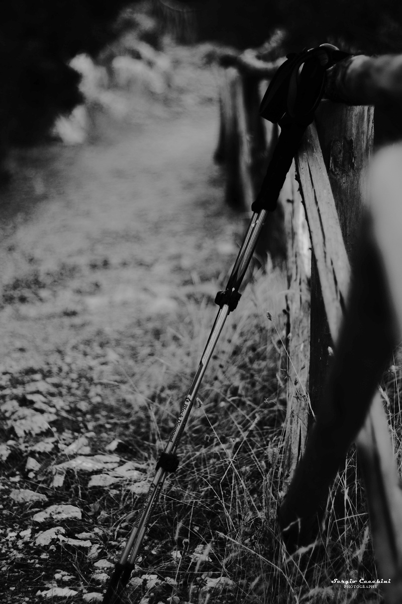 sentieri del Soratte