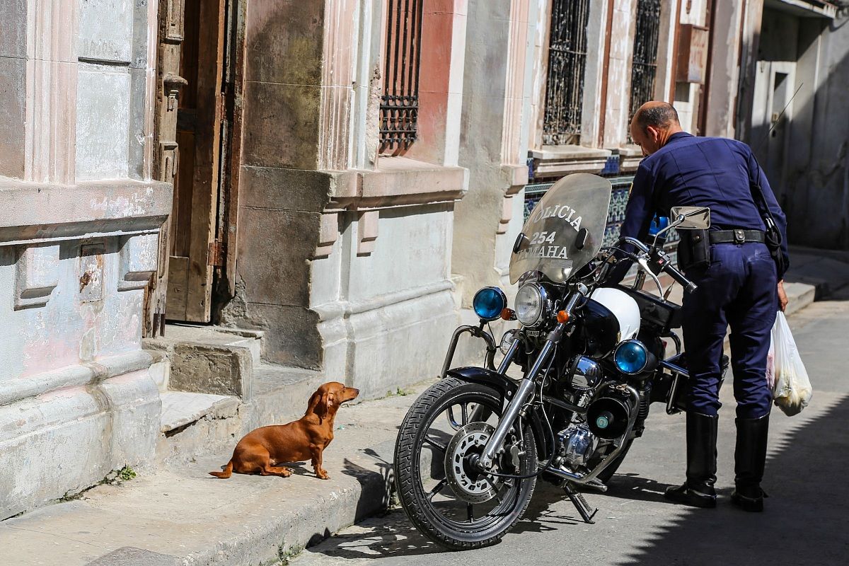 Ti stavo aspettando..