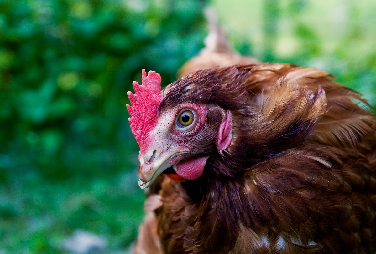 An interesting guy ....