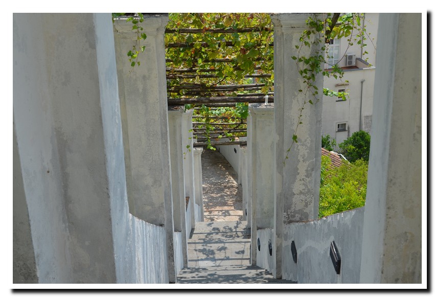 Giardino della Minerva2