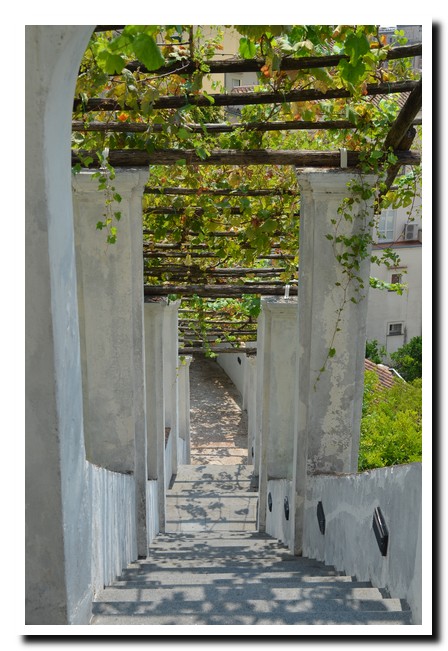 Giardino della Minerva3