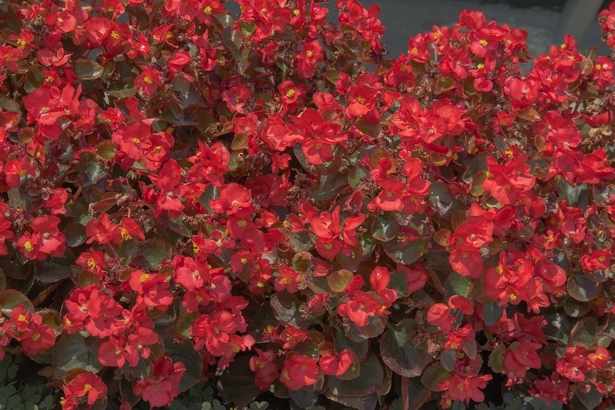 Na obali reke Sava - On the bank of the river Sava