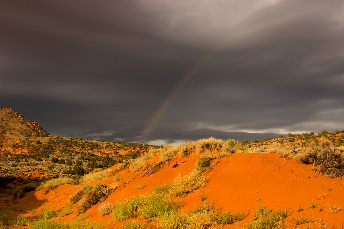 Alba Coyote Buttes
