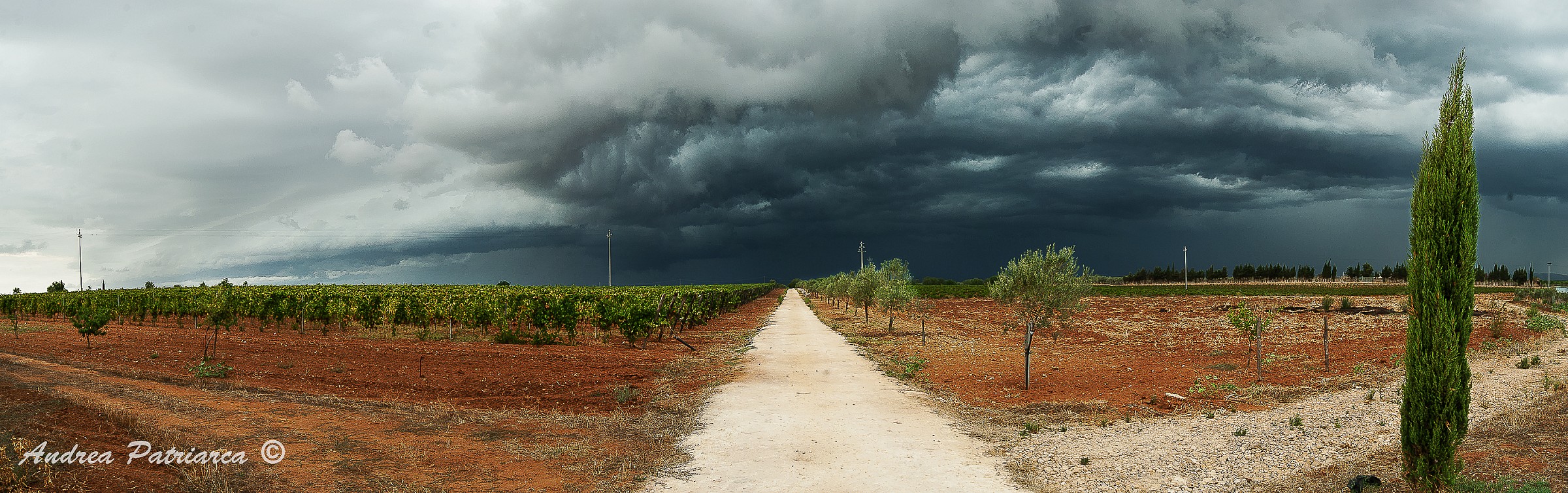 Thunderstorm on wine