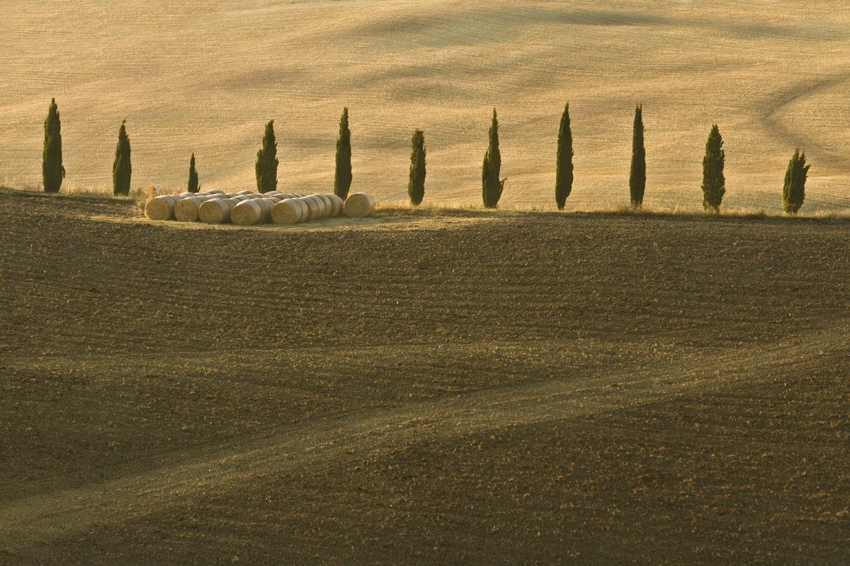 Sapori Toscani ... ...