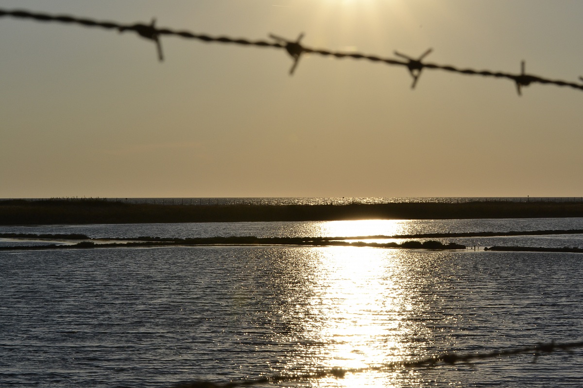Oltre il filo spinato...