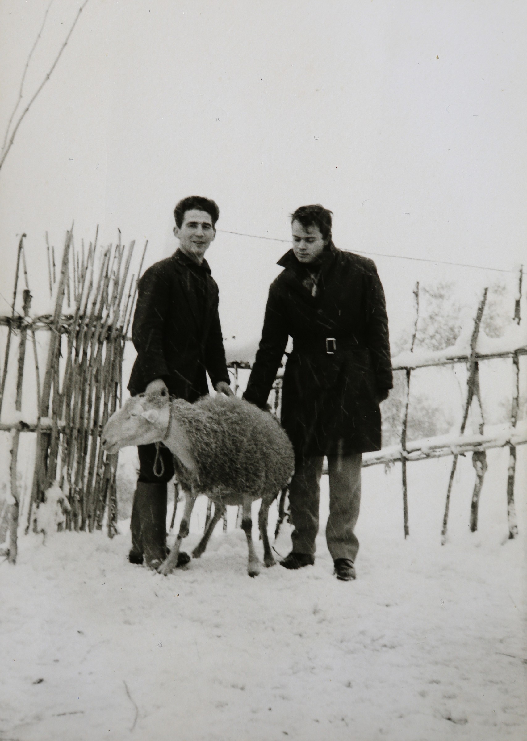 Il Gioiello di Giacomino.