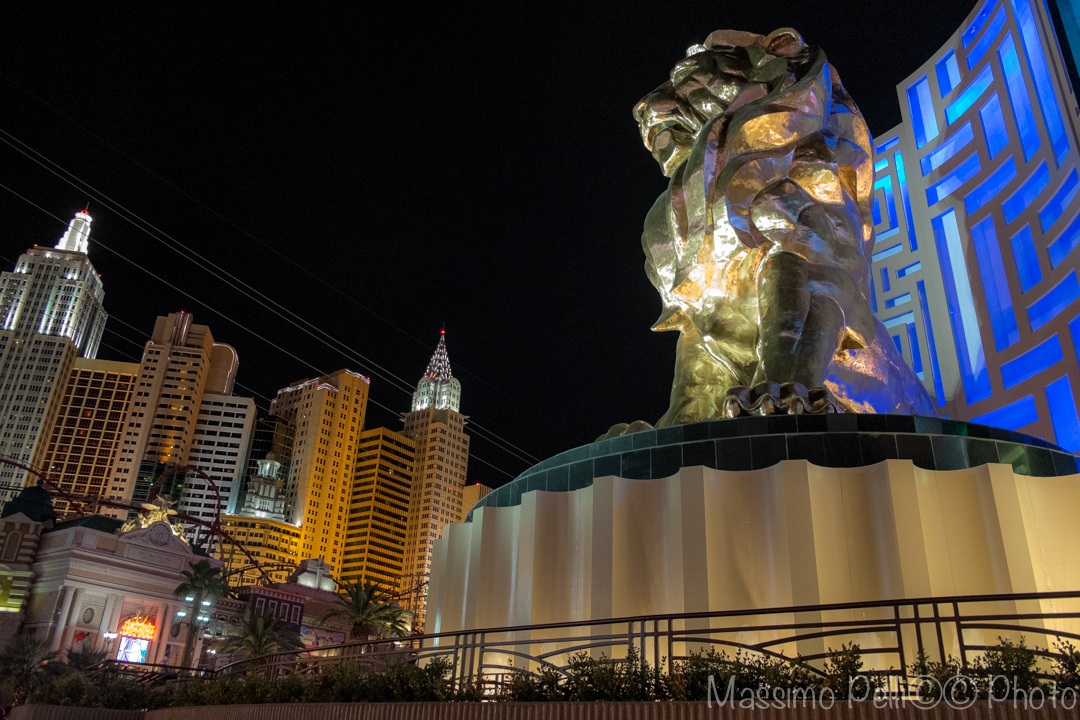 The lion garda false NY