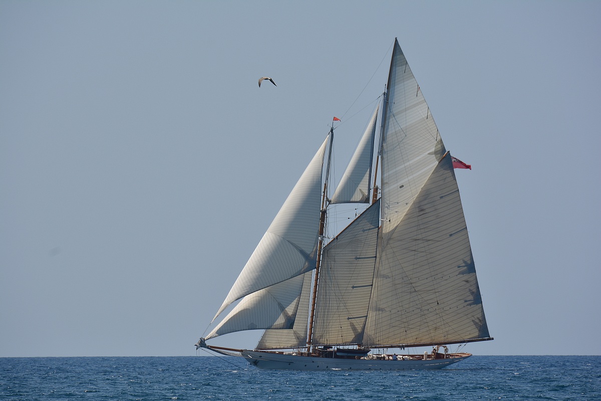 Like a butterfly ...