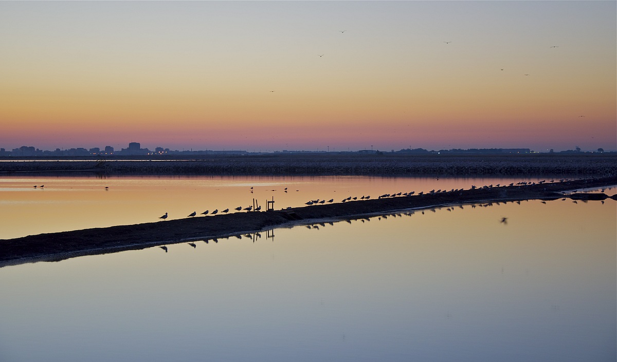Alba sulle saline di Margherita di Savoia