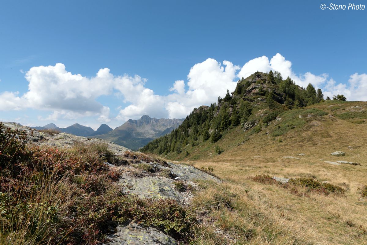 Sul colle a destra, ubicazione postazioni italiane.