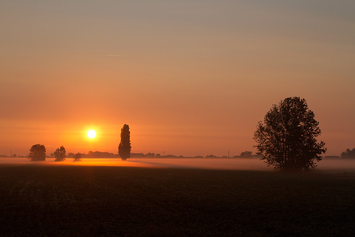 Bruma in the Ferrarese