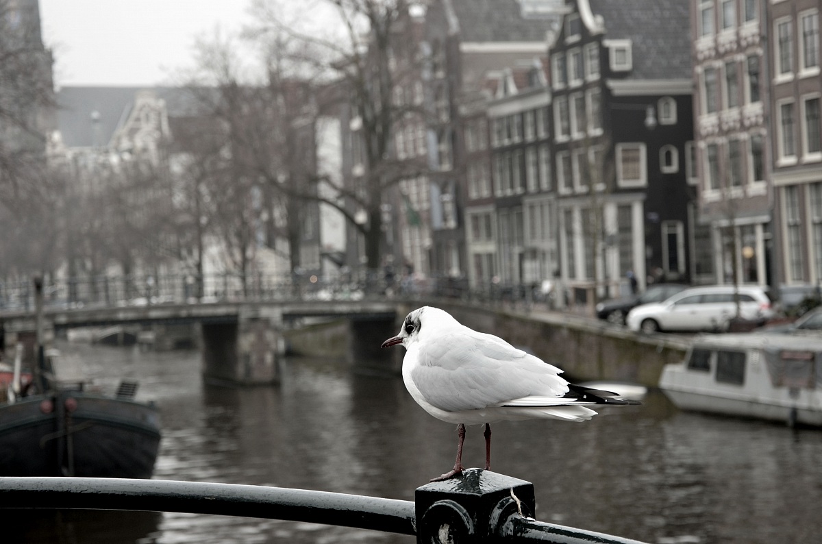 Watching the river ..