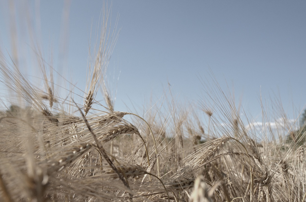 The wind in the ears