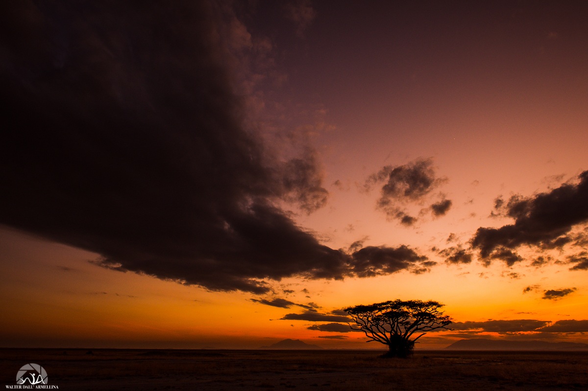 Sunset in Amboseli