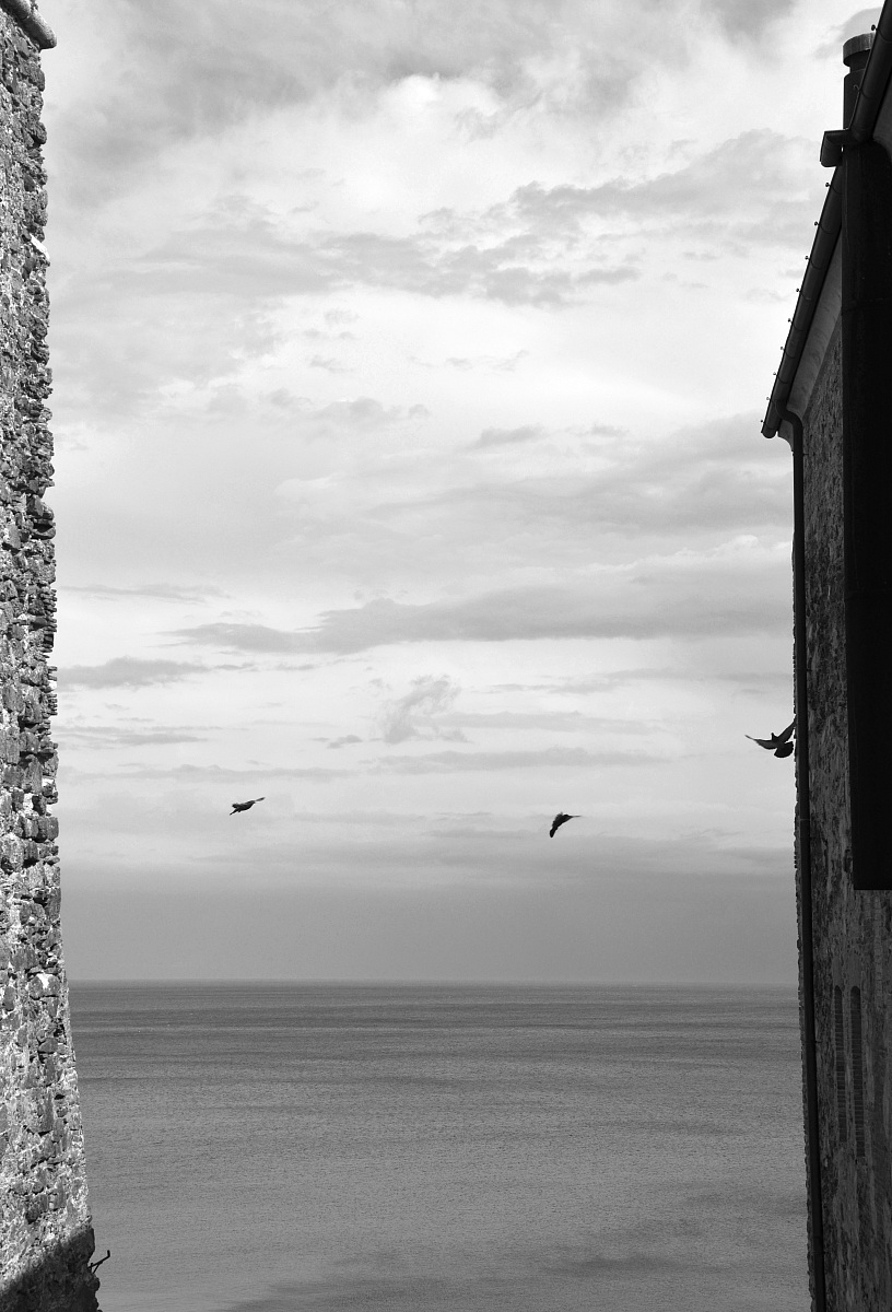 The flight of Alexander ..