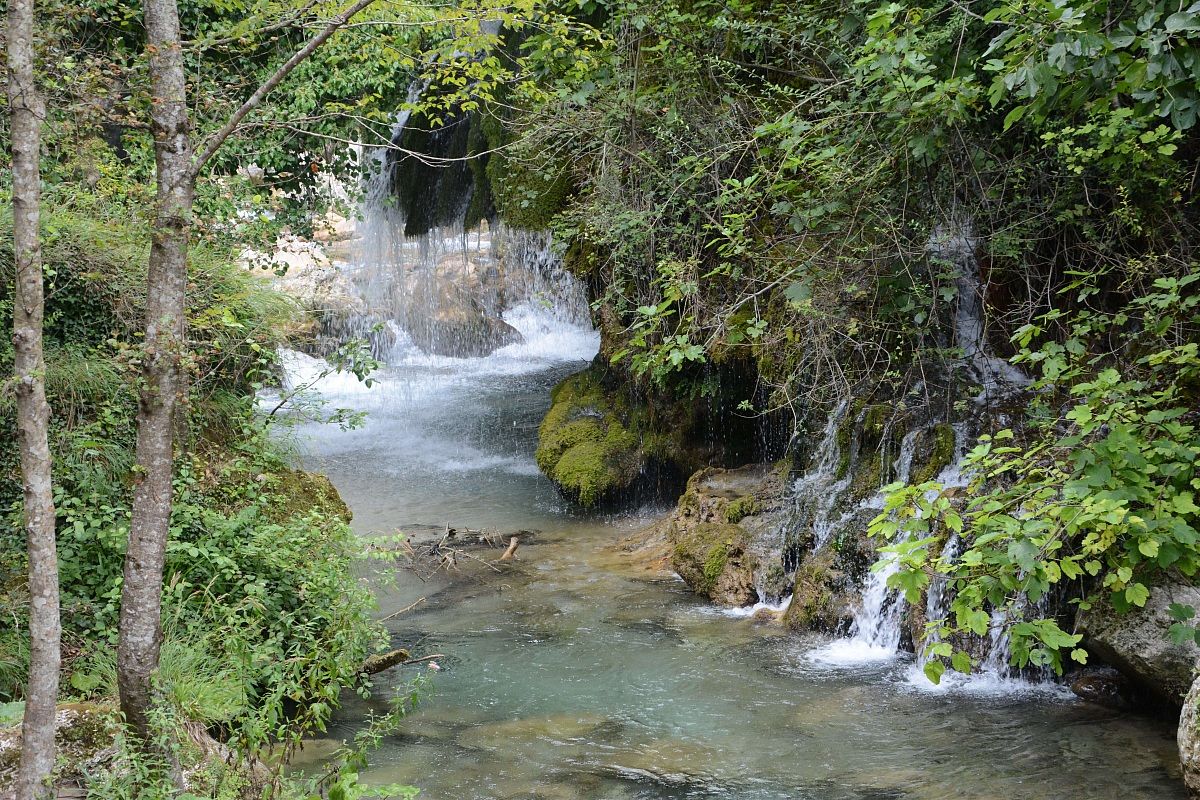 La Venere del Capello
