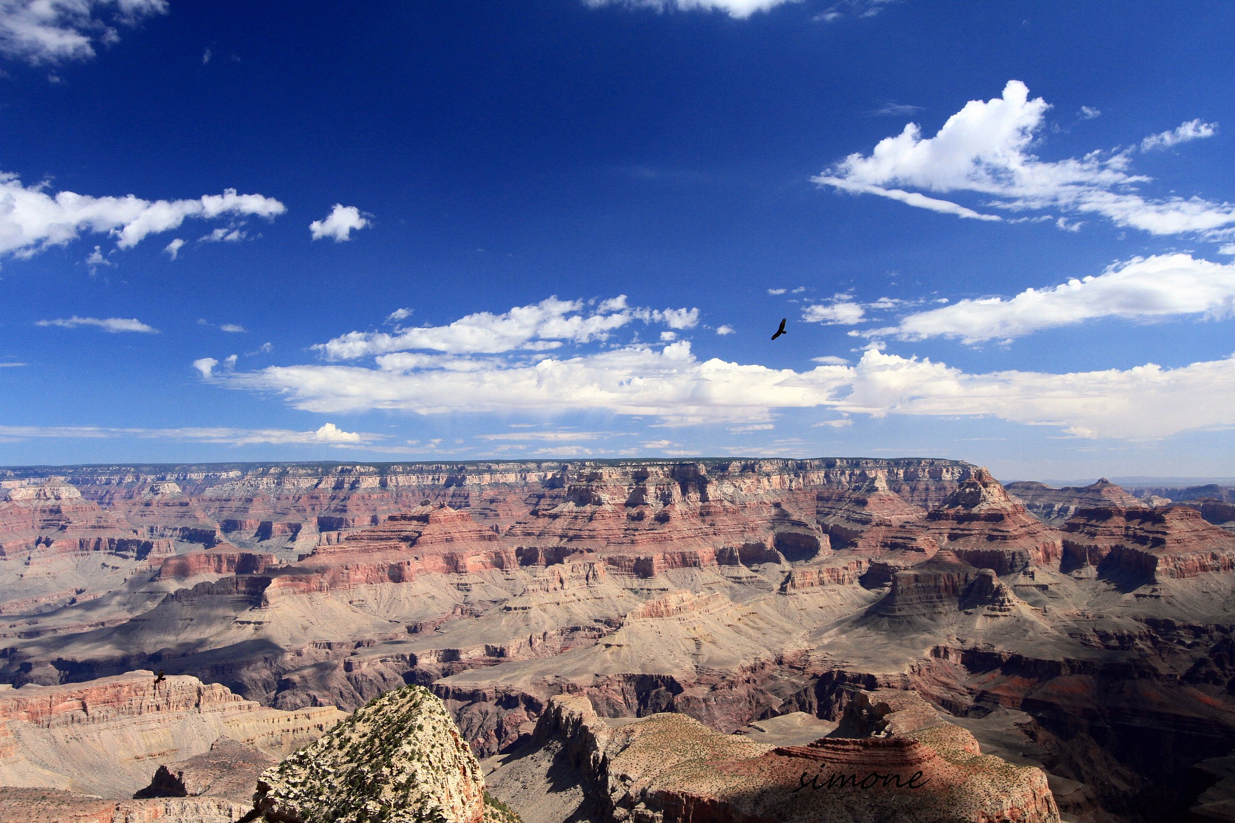 Condor to the Grand Canyon