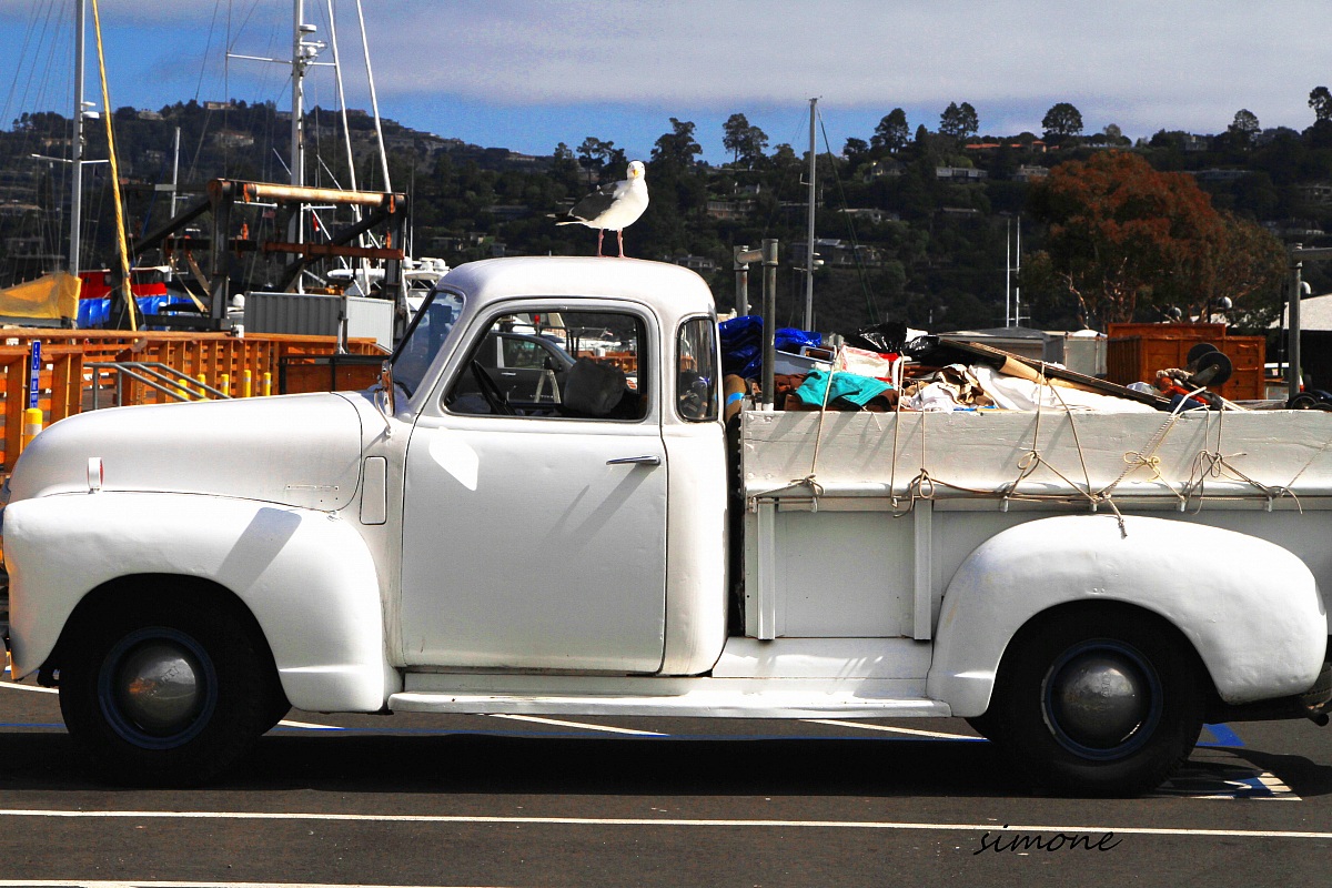 Postcards from Sausalito