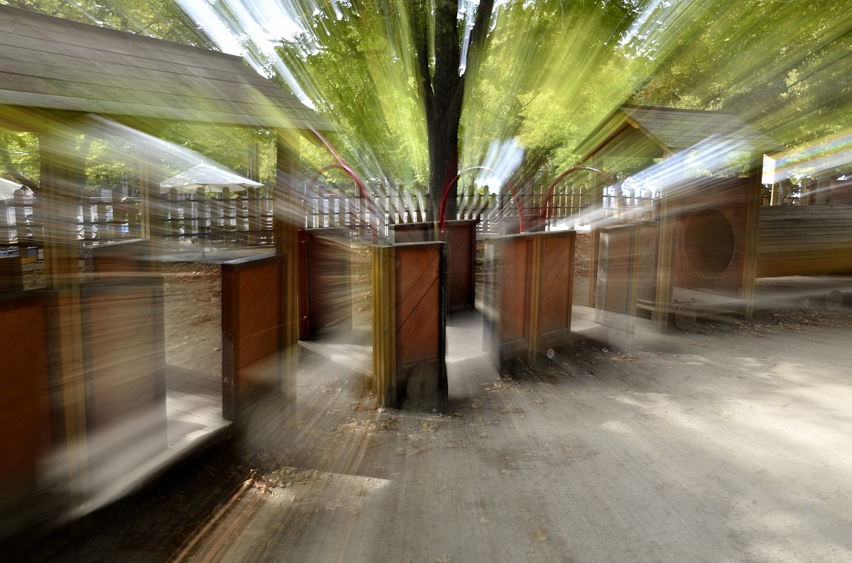 Il treno dei desideri