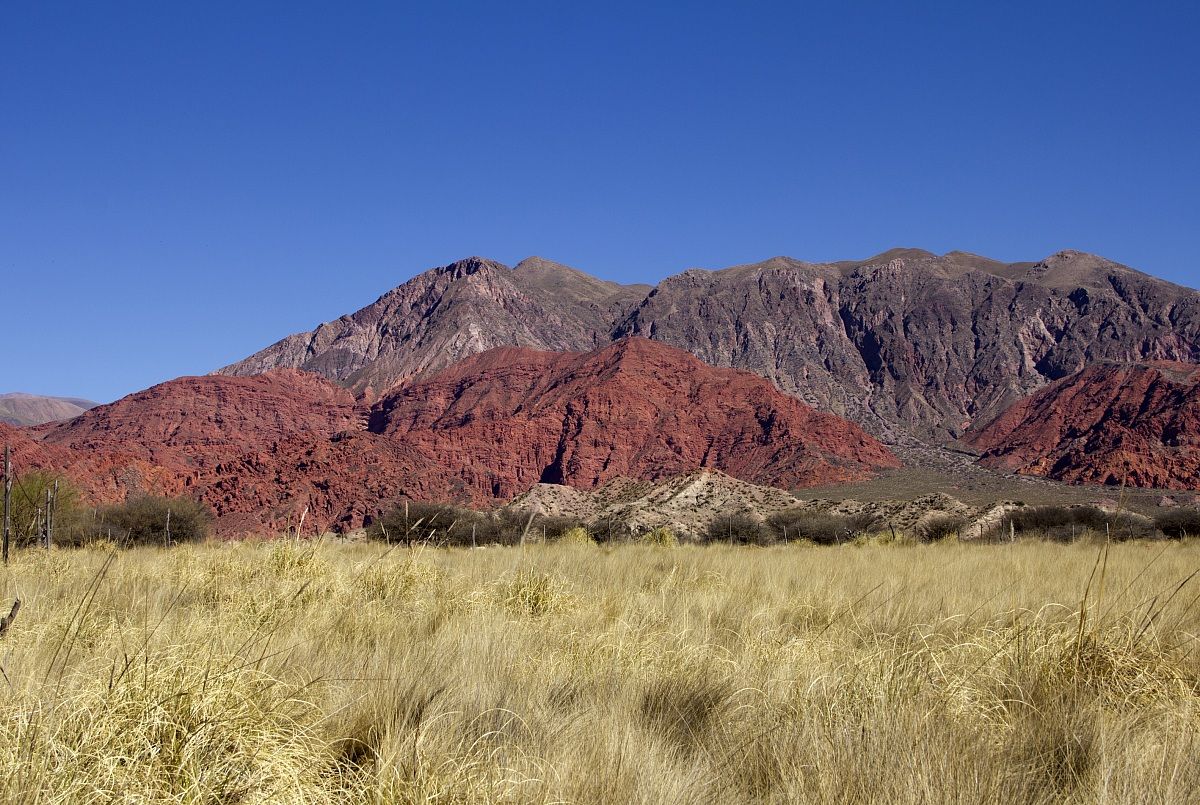 The blue, red, yellow