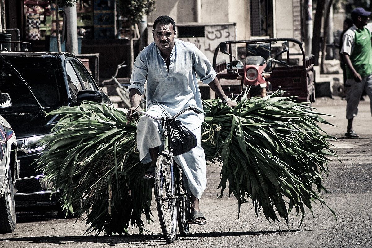 Trasporto eccezionale