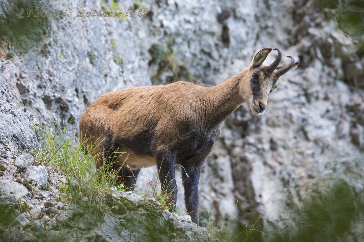 Incontro ravvicinato !